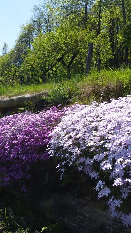 Il Sogno Della Vita Agriresort - Country Rooms & Suites Peveragno Εξωτερικό φωτογραφία