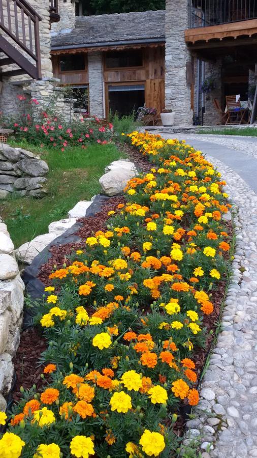 Il Sogno Della Vita Agriresort - Country Rooms & Suites Peveragno Εξωτερικό φωτογραφία